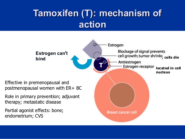 tamoxifen-mechanism-of-action-affy-pharma
